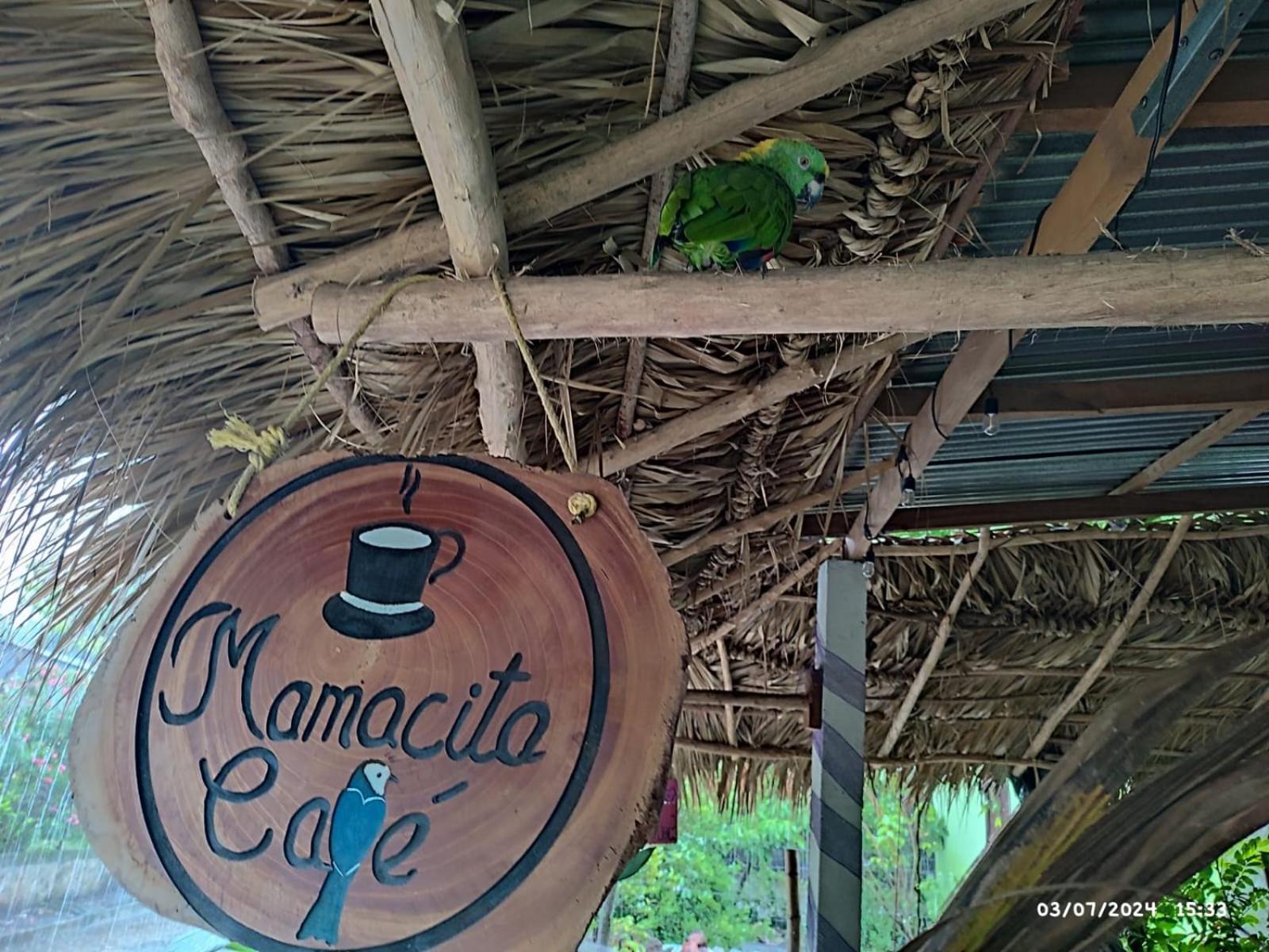 Mamacita Cafe House Hotel Moyogalpa Exterior photo